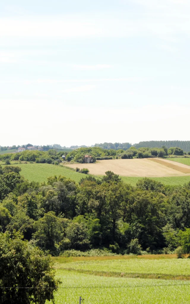 Belvedere Paysages vallonnés Terres de Chalosse