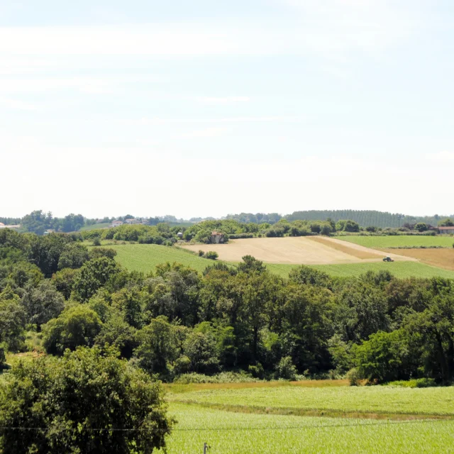 Belvedere Paysages vallonnés Terres de Chalosse