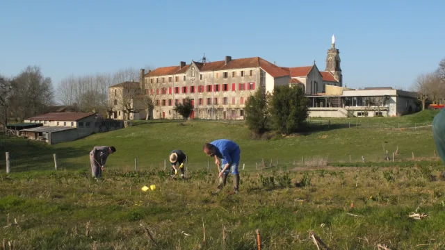 Abbaye Maylis 35