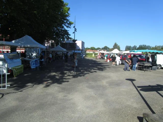 Marche Hinx Du Samedi Matin