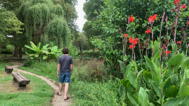 Etang La Banère