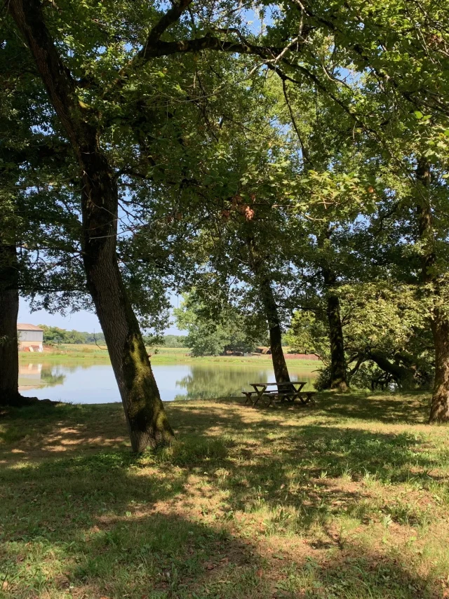 Lac Vicq d'Auribat