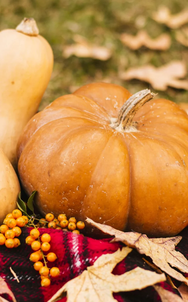 Automne Gourmand et terres de Chalosse