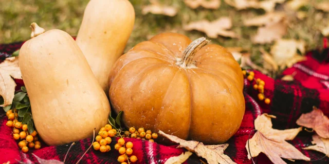 Automne Gourmand et terres de Chalosse