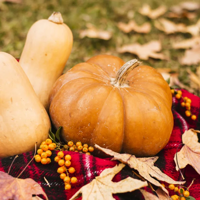 Automne Gourmand et terres de Chalosse