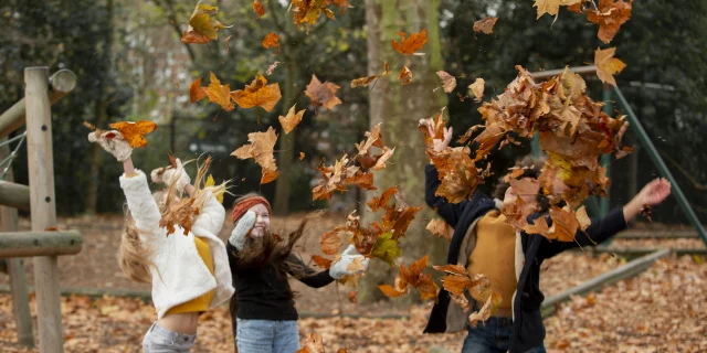 Vacances d'automne en terres de chalosse