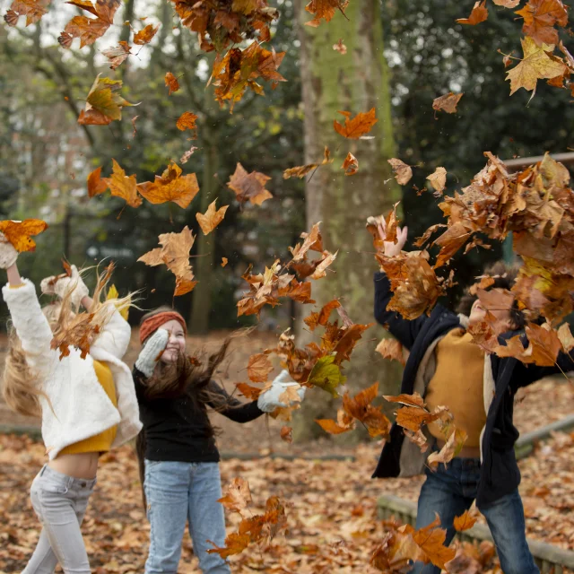 Vacances d'automne en terres de chalosse