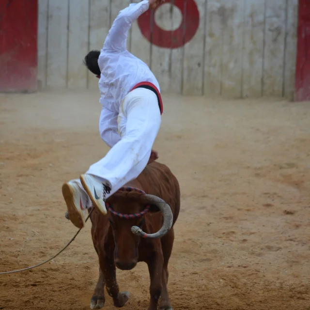 Course Landaise 2 Sauteur Fete De Montfort Laparcerie Rotated